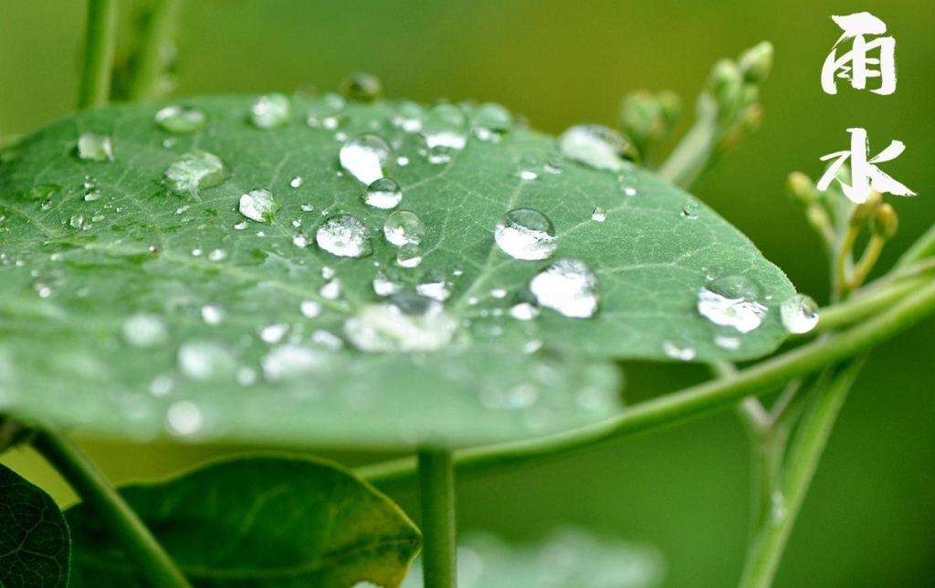 雨水潤(rùn)萬(wàn)物，兼顧沙與泥！